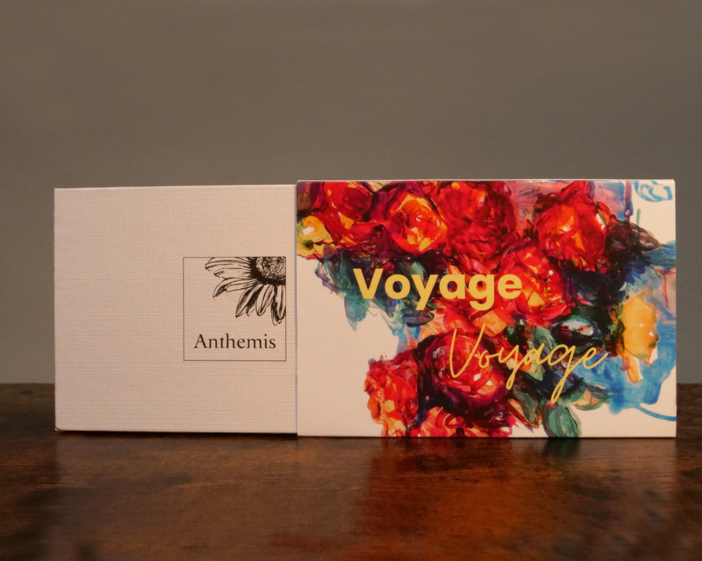 Coffret Voyage